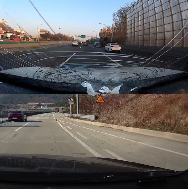 17410932660459.jpg